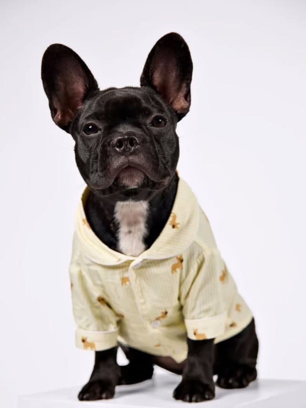 French Bulldog Pajama Shirt